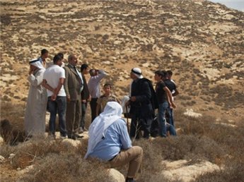 Des colons volent 150 moutons près d'Hébron, récupérés ensuite avec l'aide de la Croix-Rouge